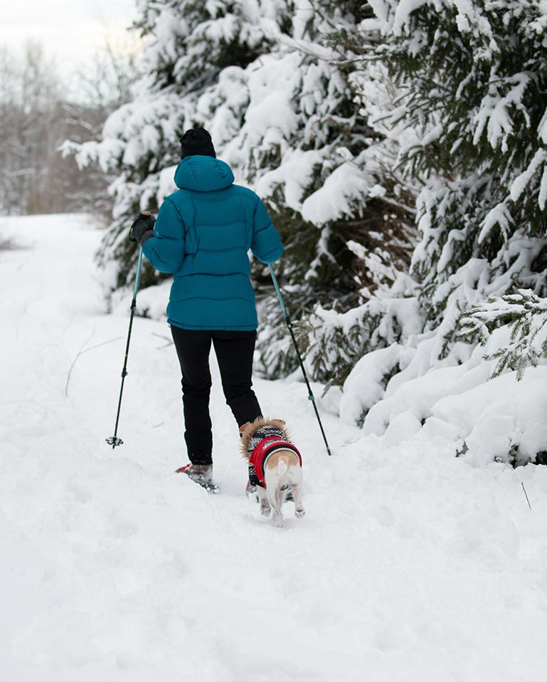 Hotel pet friendly in Val di Fassa